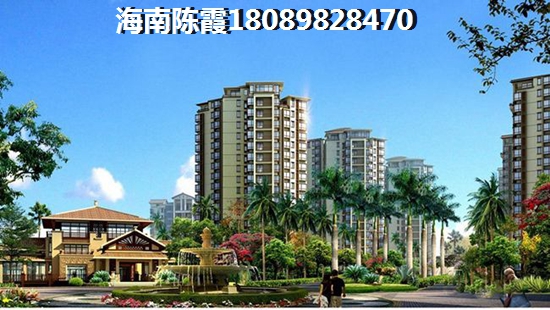永兴·彝海大成·观海交通便利么？
